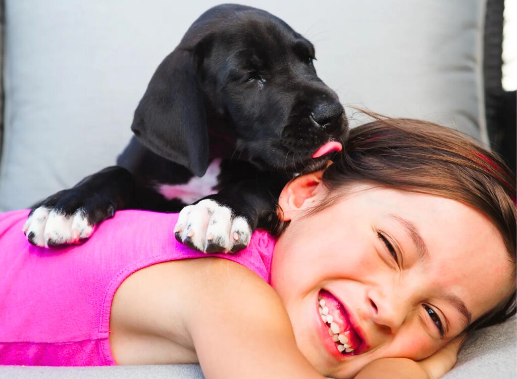 Cuccioli di Alano - una giovane ragazza sdraiata su un divano con un cane